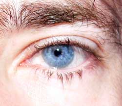 Profil de Monir